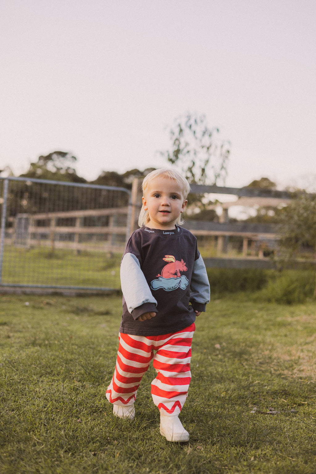 Pigs Might Fly Long Sleeve