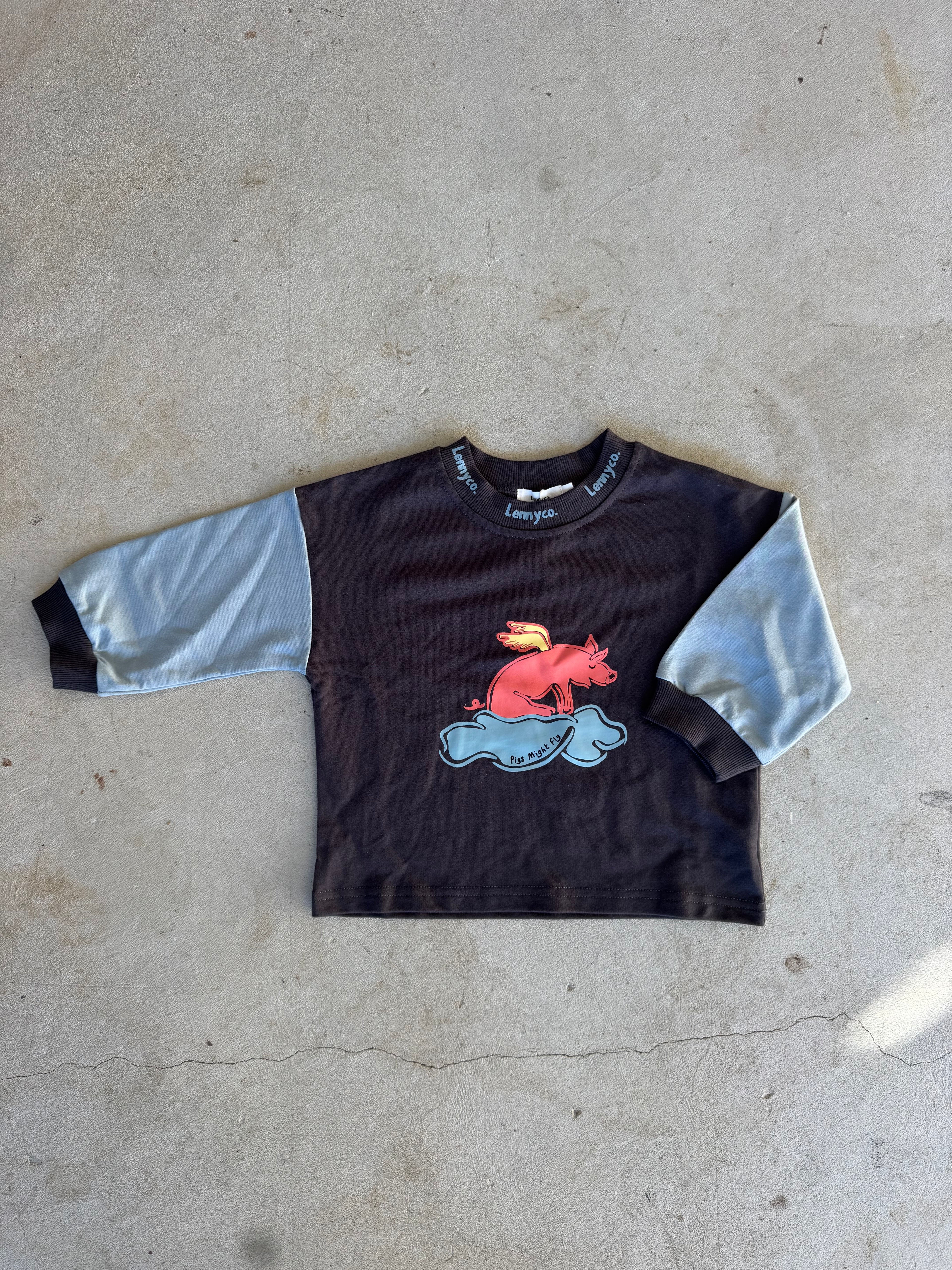 Pigs Might Fly Long Sleeve