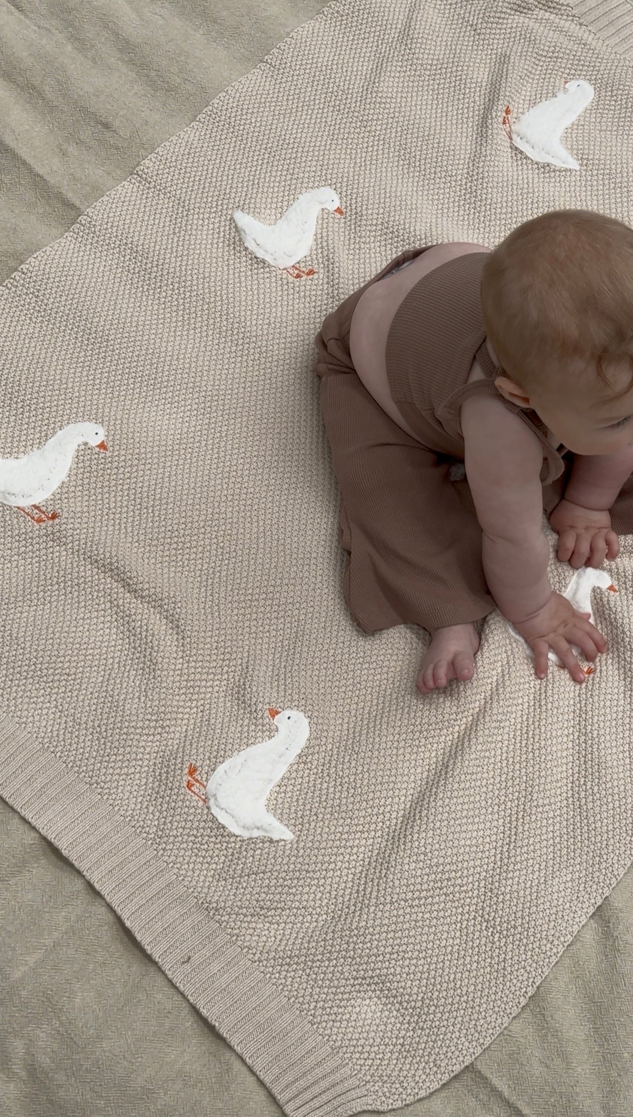 Gordy Goose Blanket